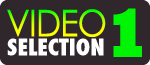 Logo-videsel1