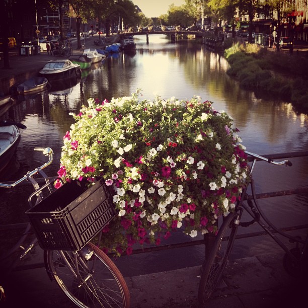 Ahhh the canals!