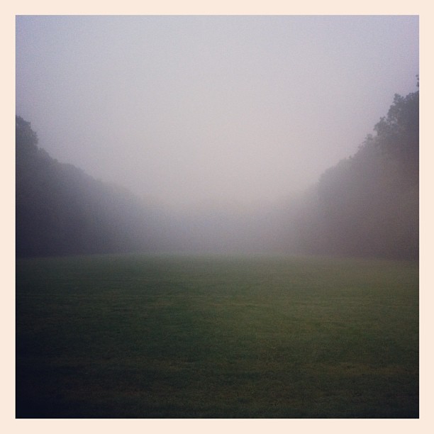 Foggy-run