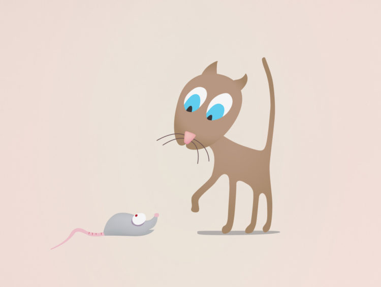 cat-mouse